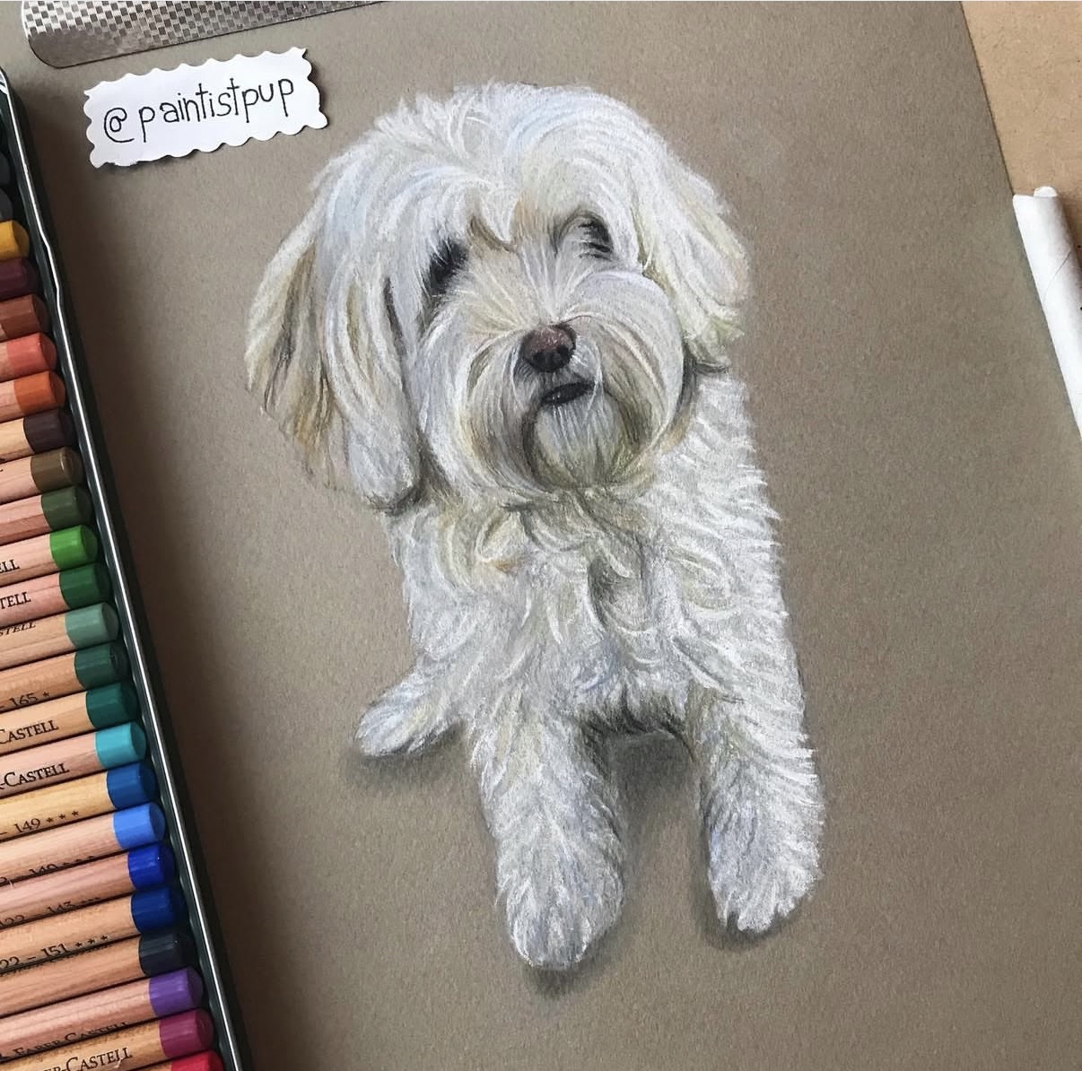 Snickers colored pencil